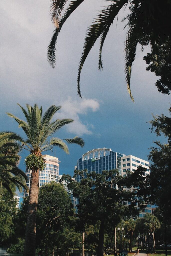 palm trees and a building in Orlando, Florida